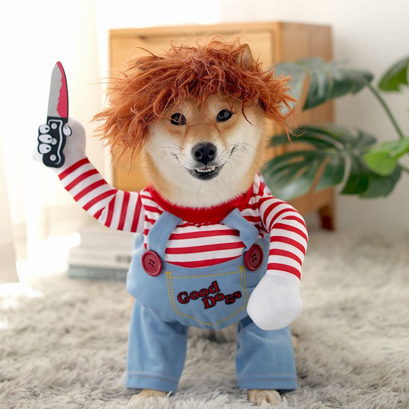 Pawfect Play – Sjovt hvalpekostume