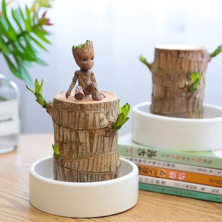 WoodlandNook - Mini terrarium til frisk luft og positiv energi