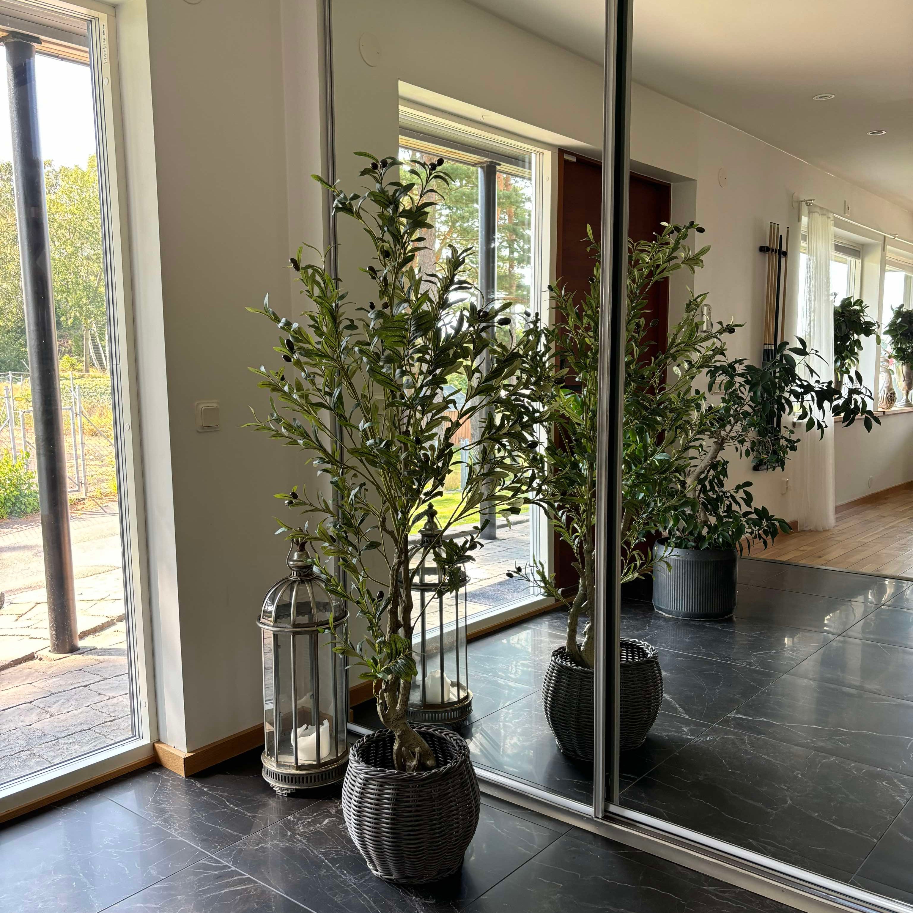 Verdessa - kunstigt oliventræ