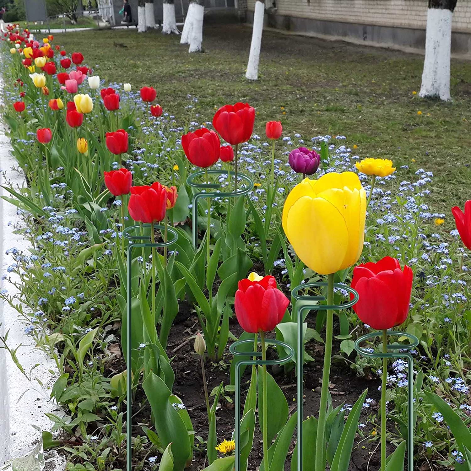 Pålidelig plantestøttestang