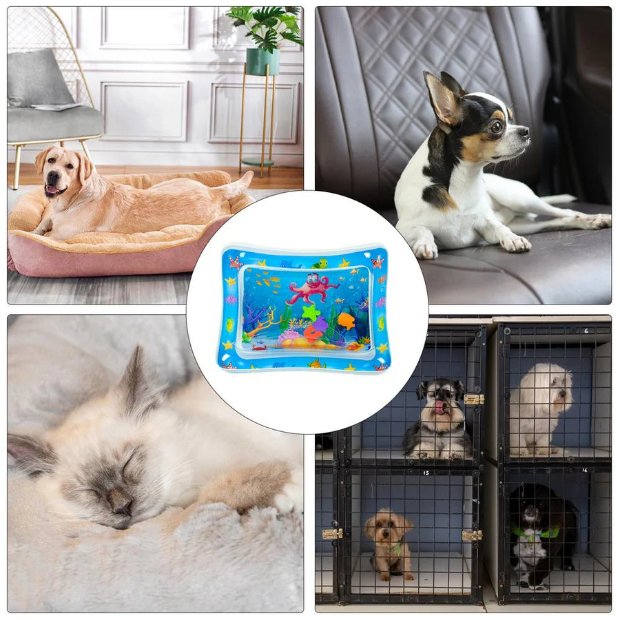 Pawquora - Stimuleringsmåtte til katte