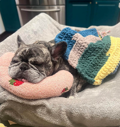 CuddleCloud - Dyrepude