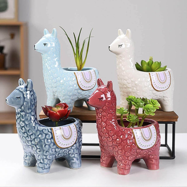 AlpacaSprout - Dejlig alpaka-sukkulentgryde til dit rum
