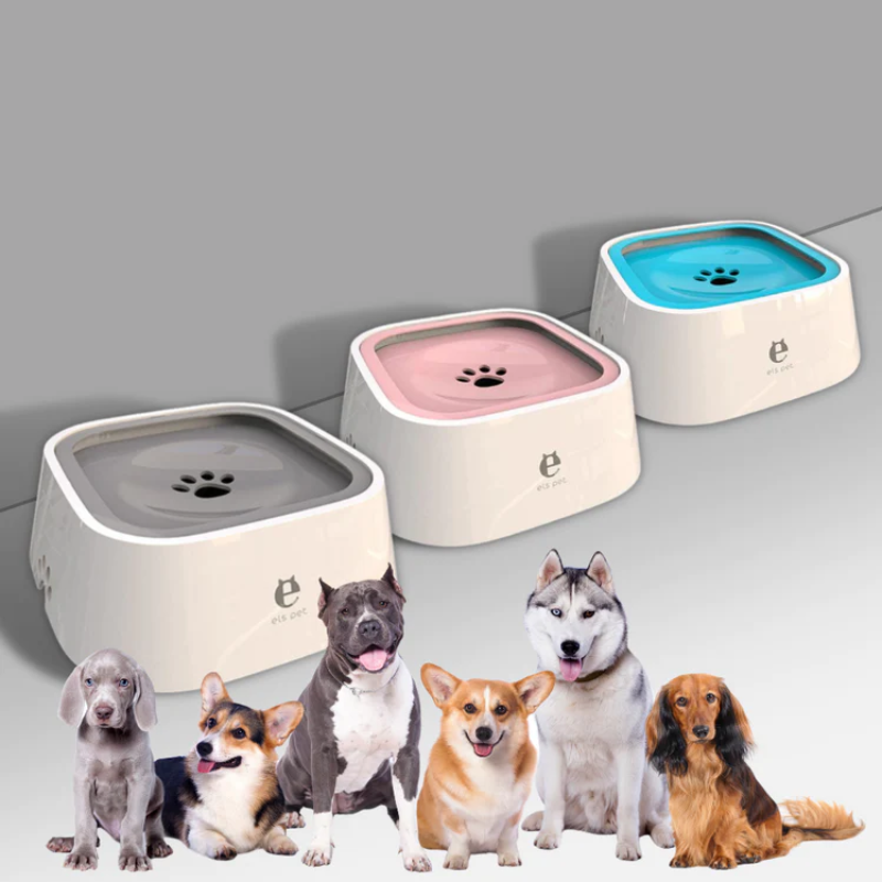 SplashLess™ - No-Mess Pet Vandskål
