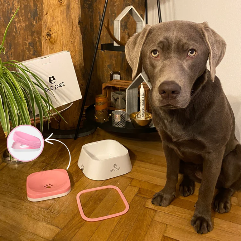 SplashLess™ - No-Mess Pet Vandskål
