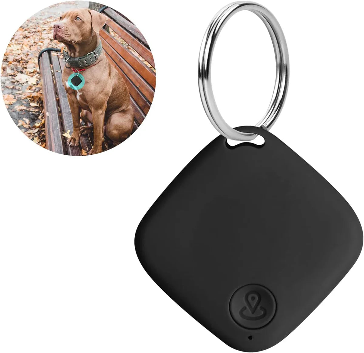 TailTrack - GPS til katte og hunde