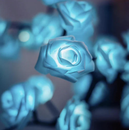 BloomVerve - Strålende rosenlampe