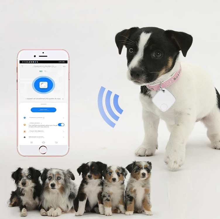 TailTrack - GPS til katte og hunde