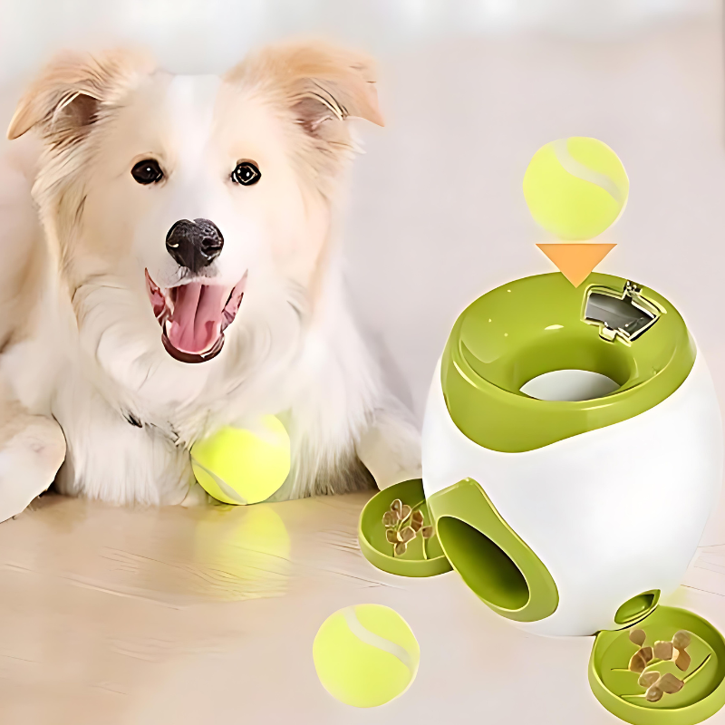 TreatLauncher™ – Automatisk boldkaster med snacks