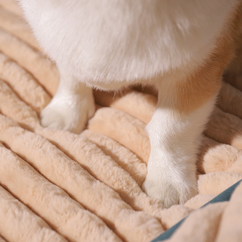 PawHaven Hundeseng
