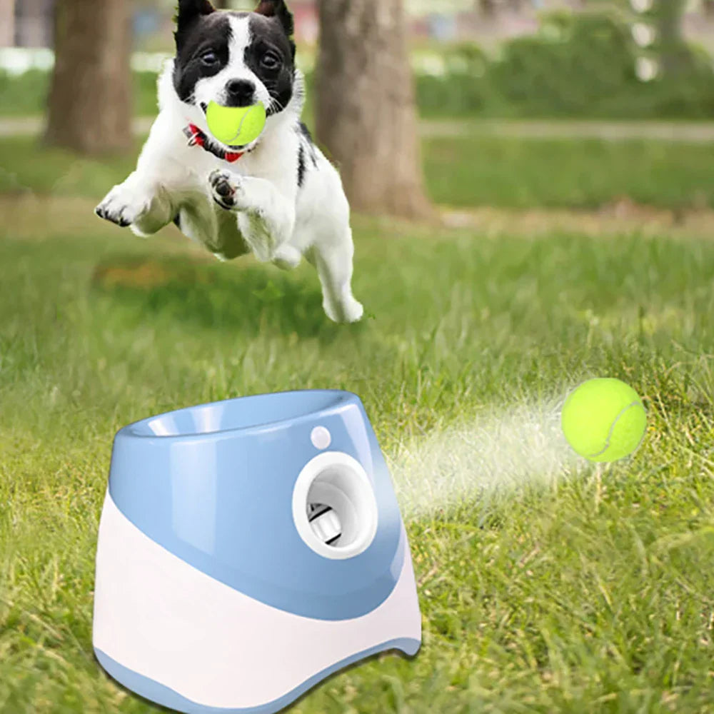 Pawlaris - Automatisk kuglekaster