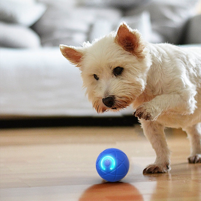 Pawlix | Holdbart legetøj til din hund!