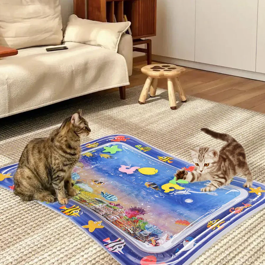 Pawquora - Stimuleringsmåtte til katte