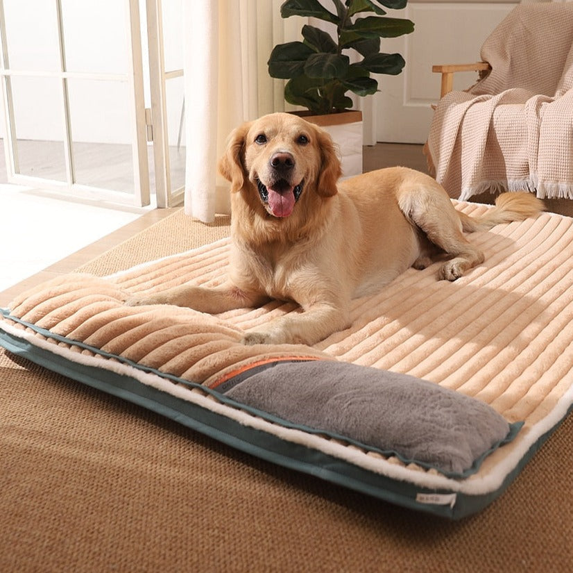 PawHaven Hundeseng